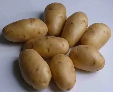 сорта картофеля для харьковской области