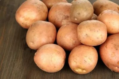 ирбитский сорт картофеля