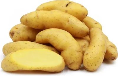 сорт картофеля банан описание