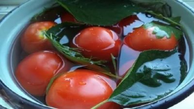 соленые помидоры в кастрюле как бочковые