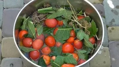 помидоры в кастрюле на зиму