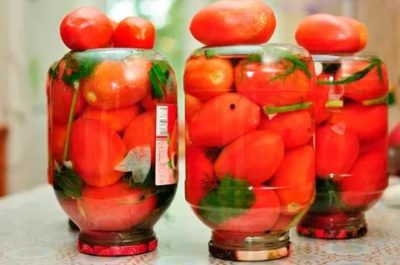 через сколько дней можно есть маринованные помидоры