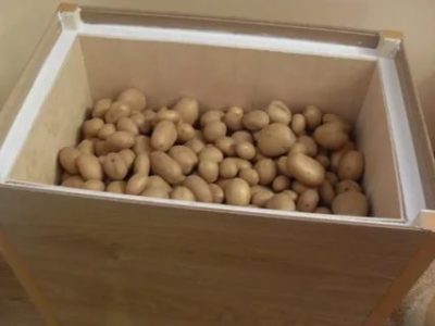 как хранить картошку зимой на балконе