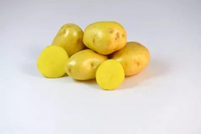 сорта картофеля с желтой мякотью