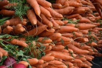 уход за морковью в августе
