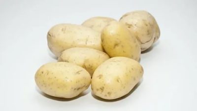сорт картофеля волат