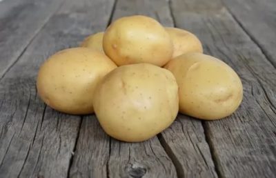 сорт картофеля мелоди