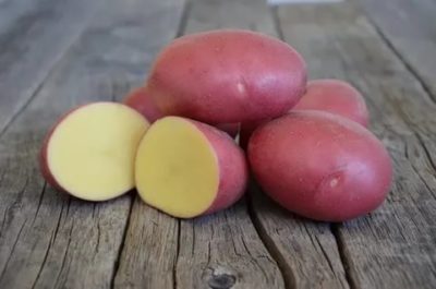 картофель лабелла описание сорта
