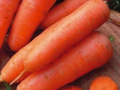 сладкие сорта моркови