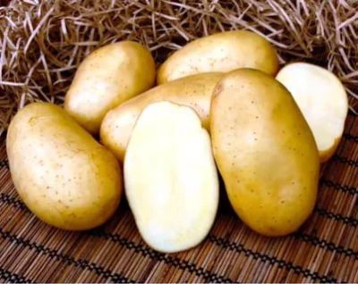картофель брянский деликатес описание сорта