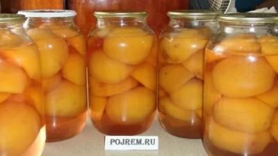 компот из персиков на зиму без стерилизации