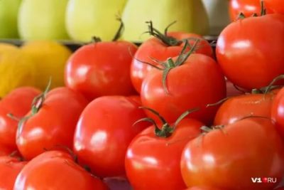 лучшие сорта томатов для волгоградской области