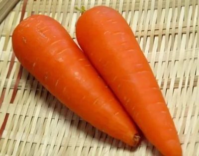 сорта моркови для сибири