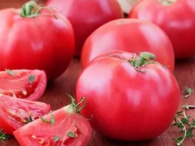 мясистые сорта томатов