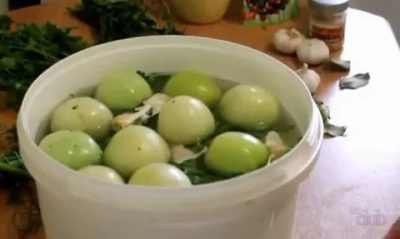 как засолить зеленые помидоры в ведре холодным способом