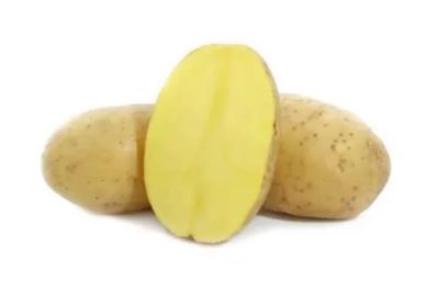 пароли сорт картофеля