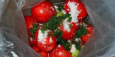 помидоры соленые в пакете