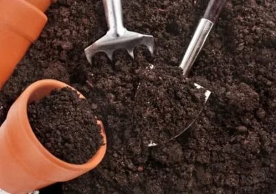подготовка почвы для рассады перца