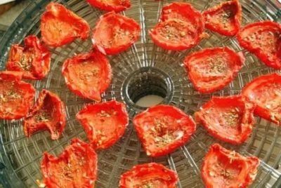 как сушить помидоры в электросушилке