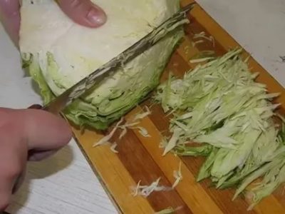 как солить раннюю капусту