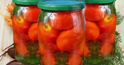 помидоры на зиму с морковной ботвой
