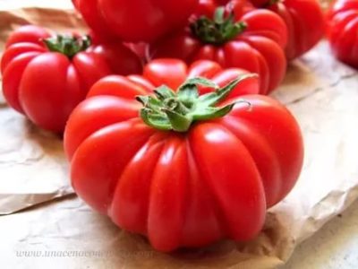 итальянские сорта томатов