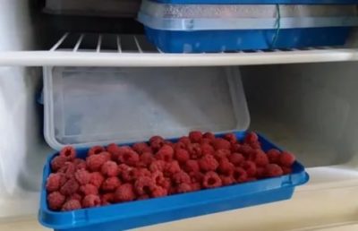 как хранить малину в холодильнике