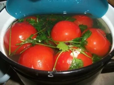 помидоры в кастрюле на зиму