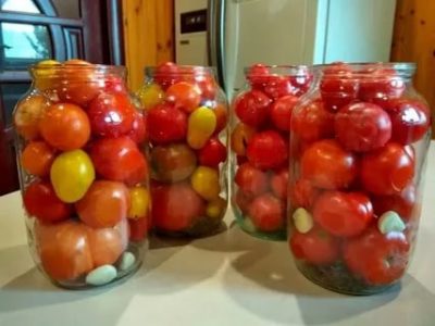 маринованные помидоры черри без стерилизации