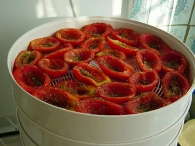 как сушить помидоры в электросушилке